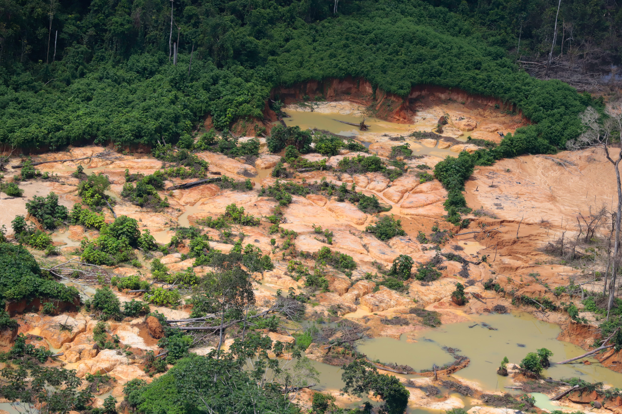 Imagens aéreas de crateras do garimpo ilegal na Terra Indígena Yanomami.