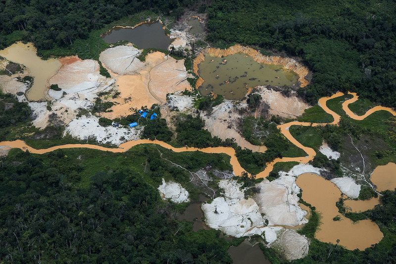 Vista aérea de garimpo ilegal na Terra Indígena Yanomami, em Roraima. Um rio enlameado corre entre crateras abertas pelo garimpo, onde há grandes poças de água com lama. Ao redor das crateras, há muitas árvores. 