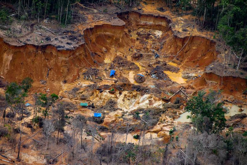 Canteiro de garimpo ilegal na região do Rio Uraricoera -  Divulgação